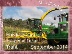 Mais häckseln - Holger auf dem  Trahl, 	  September 2014