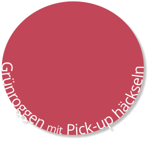 Grünroggen mit Pick-up häckseln