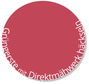 Grüngerste mit Direktmähwerk häckseln